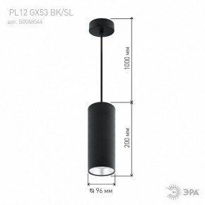 Подвесной светильник Эра  PL12 GX53 BK/SL в Нижневартовске - niznevartovsk.ok-mebel.com | фото 8