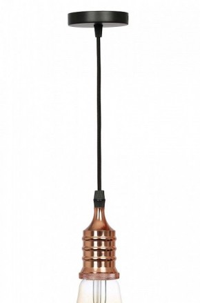 Подвесной светильник Эра PL13 Б0048525 в Нижневартовске - niznevartovsk.ok-mebel.com | фото 3
