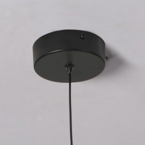 Подвесной светильник Favourite Wilet 4656-1P в Нижневартовске - niznevartovsk.ok-mebel.com | фото 10