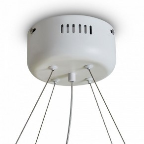 Подвесной светильник Freya Rain FR5546PL-L60W в Нижневартовске - niznevartovsk.ok-mebel.com | фото 9