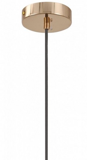 Подвесной светильник Moderli Charm V11176-1P в Нижневартовске - niznevartovsk.ok-mebel.com | фото 8