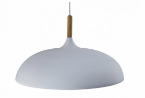 Подвесной светильник Moderli Hygo V11447-1P в Нижневартовске - niznevartovsk.ok-mebel.com | фото