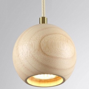 Подвесной светильник Odeon Light Caucho 7061/1 в Нижневартовске - niznevartovsk.ok-mebel.com | фото 2