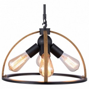 Подвесной светильник TopLight Jasmin TL1179H-04BK в Нижневартовске - niznevartovsk.ok-mebel.com | фото
