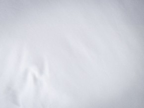PROxSON Подушка Terra Duo (Сатин Ткань) 50x70 в Нижневартовске - niznevartovsk.ok-mebel.com | фото 9