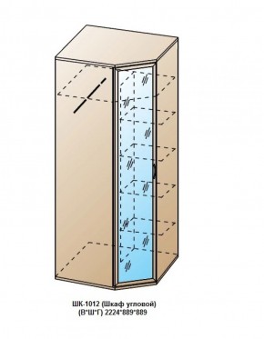 ШК-1012 (Шкаф угловой) в Нижневартовске - niznevartovsk.ok-mebel.com | фото