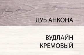 Шкаф 1DW, OLIVIA, цвет вудлайн крем/дуб анкона в Нижневартовске - niznevartovsk.ok-mebel.com | фото 3