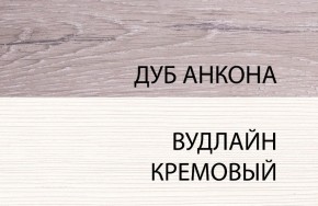 Шкаф 1DZ, OLIVIA, цвет вудлайн крем/дуб анкона в Нижневартовске - niznevartovsk.ok-mebel.com | фото 3