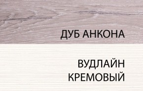 Шкаф 2DG, OLIVIA, цвет вудлайн крем/дуб анкона в Нижневартовске - niznevartovsk.ok-mebel.com | фото 3