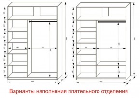 Шкаф-купе 1600 серии SOFT D1+D3+B2+PL1 (2 ящика+1штанга) профиль «Графит» в Нижневартовске - niznevartovsk.ok-mebel.com | фото 6