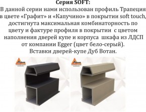 Шкаф-купе 1800 серии SOFT D1+D3+B2+PL1 (2 ящика+1штанга) профиль «Графит» в Нижневартовске - niznevartovsk.ok-mebel.com | фото 11