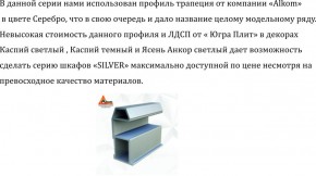 Шкаф-купе 2250 серии SILVER S3+S1+S3Z B22+PL2 (по 2 ящика лев/прав+1штанга+1 полка) профиль «Серебро» в Нижневартовске - niznevartovsk.ok-mebel.com | фото 4