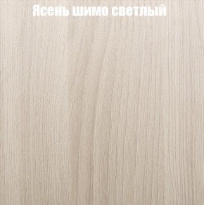 Шкаф-купе «ТАНДЕМ» 3-х дверный в алюминиевом профиле (Дверь К+К+К) 2100/h2200 в Нижневартовске - niznevartovsk.ok-mebel.com | фото 6