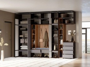 Шкаф платяной Роут в Нижневартовске - niznevartovsk.ok-mebel.com | фото 2