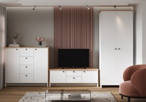 Шкаф платяной Теодора в Нижневартовске - niznevartovsk.ok-mebel.com | фото 4