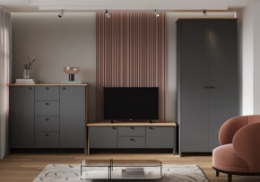 Шкаф платяной Теодора в Нижневартовске - niznevartovsk.ok-mebel.com | фото 3