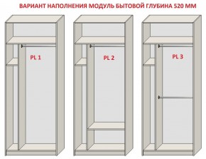 Шкаф распашной серия «ЗЕВС» (PL3/С1/PL2) в Нижневартовске - niznevartovsk.ok-mebel.com | фото 5