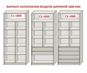 Шкаф распашной серия «ЗЕВС» (PL3/С1/PL2) в Нижневартовске - niznevartovsk.ok-mebel.com | фото 7