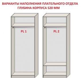 Шкаф распашной серия «ЗЕВС» (PL3/С1/PL2) в Нижневартовске - niznevartovsk.ok-mebel.com | фото 9