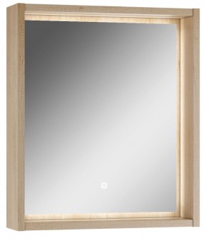 Шкаф-зеркало Nice 60 с подсветкой Домино (DN4706HZ) в Нижневартовске - niznevartovsk.ok-mebel.com | фото