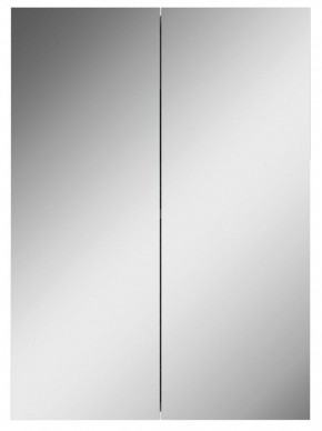 Шкаф-зеркало Норма 50 2 двери АЙСБЕРГ (DA1636HZ) в Нижневартовске - niznevartovsk.ok-mebel.com | фото 4