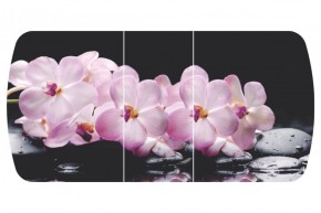 Стол Бостон-3 (Розовая Орхидея) 1100/1420*700, опора Брифинг в Нижневартовске - niznevartovsk.ok-mebel.com | фото 2
