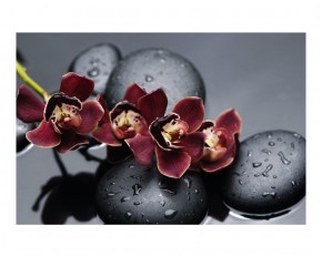 Стол обеденный Бостон Ст101.1 орхидеи в Нижневартовске - niznevartovsk.ok-mebel.com | фото 3