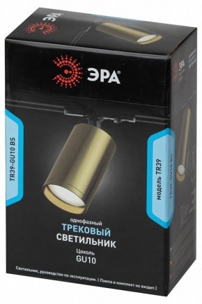 Светильник на штанге Эра  TR39-GU10 BS в Нижневартовске - niznevartovsk.ok-mebel.com | фото 4
