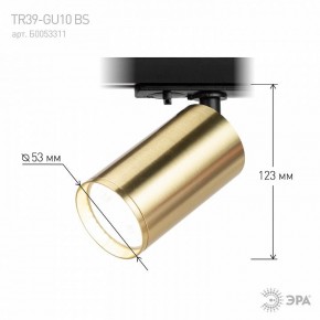 Светильник на штанге Эра  TR39-GU10 BS в Нижневартовске - niznevartovsk.ok-mebel.com | фото 6