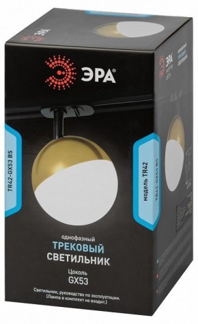 Светильник на штанге Эра  TR42-GX53 BS в Нижневартовске - niznevartovsk.ok-mebel.com | фото 6