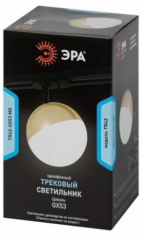 Светильник на штанге Эра  TR42-GX53 MG в Нижневартовске - niznevartovsk.ok-mebel.com | фото 6