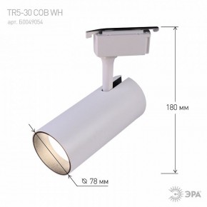 Светильник на штанге Эра  TR5-30 COB WH в Нижневартовске - niznevartovsk.ok-mebel.com | фото 6