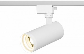 Светильник на штанге Эра  TR59 - 2040 WH в Нижневартовске - niznevartovsk.ok-mebel.com | фото 5