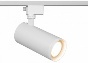 Светильник на штанге Эра  TR59 - 3030 WH в Нижневартовске - niznevartovsk.ok-mebel.com | фото