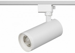 Светильник на штанге Эра  TR59 - 3030 WH в Нижневартовске - niznevartovsk.ok-mebel.com | фото 2