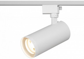 Светильник на штанге Эра  TR59 - 3030 WH в Нижневартовске - niznevartovsk.ok-mebel.com | фото 5