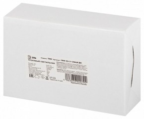 Светильник на штанге Эра  TRM-S5-3-12W4K-BK в Нижневартовске - niznevartovsk.ok-mebel.com | фото 8