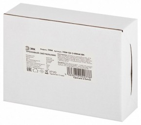 Светильник на штанге Эра  TRM-S5-3-8W4K-BK в Нижневартовске - niznevartovsk.ok-mebel.com | фото 8