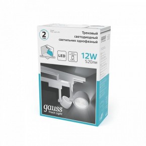 Светильник на штанге Gauss Track Light TR054 в Нижневартовске - niznevartovsk.ok-mebel.com | фото 5