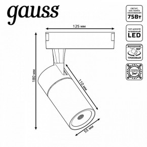 Светильник на штанге Gauss Track Light TR060 в Нижневартовске - niznevartovsk.ok-mebel.com | фото 5