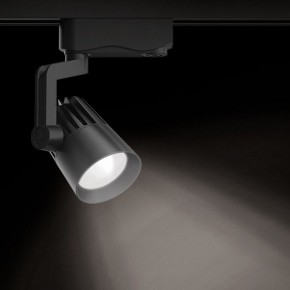 Светильник на штанге Gauss Track Light TR061 в Нижневартовске - niznevartovsk.ok-mebel.com | фото 2