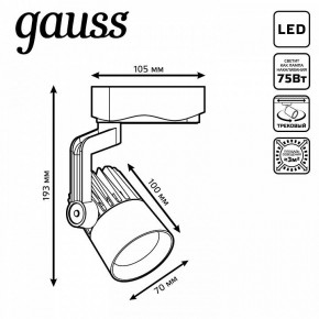 Светильник на штанге Gauss Track Light TR061 в Нижневартовске - niznevartovsk.ok-mebel.com | фото 6
