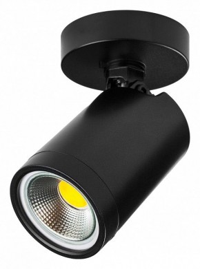 Светильник на штанге Lightstar Rullo 213407 в Нижневартовске - niznevartovsk.ok-mebel.com | фото