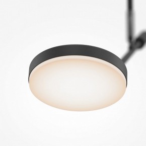 Светильник на штанге Maytoni Fad MOD070CL-L8B3K в Нижневартовске - niznevartovsk.ok-mebel.com | фото 4