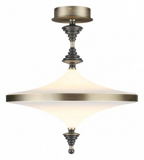 Светильник на штанге Odeon Light Ula 5404/43CL в Нижневартовске - niznevartovsk.ok-mebel.com | фото 2