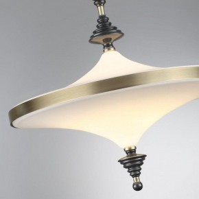 Светильник на штанге Odeon Light Ula 5404/43CL в Нижневартовске - niznevartovsk.ok-mebel.com | фото 6