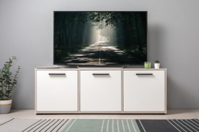 Тумба под ТВ 13.283.02 Винтаж в Нижневартовске - niznevartovsk.ok-mebel.com | фото 3