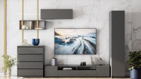 Тумба под ТВ Сибити в Нижневартовске - niznevartovsk.ok-mebel.com | фото 3