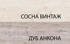 Тумба RTV 1D2SN, MONAKO, цвет Сосна винтаж/дуб анкона в Нижневартовске - niznevartovsk.ok-mebel.com | фото 3