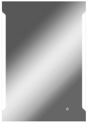 Зеркало Оттава 1000х700 с подсветкой Домино (GL7028Z) в Нижневартовске - niznevartovsk.ok-mebel.com | фото 1